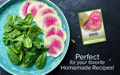 CYBEXIS LXI-56 - Watermelon Radish - (2250 Seeds) Seed(2250 per packet)