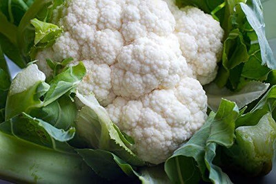 WILLVINE NKR -I Snowball Y Cauliflower Seed[1g, 300 Seeds] Seed(300 per packet)
