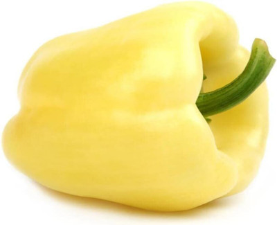 KNESSiN Hybrid White Capsicum Vegetable Seeds For Gardening-(200 Seeds) Seed(200 per packet)