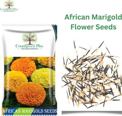 Countgreen Plus African Marigold Mix Flower Seeds - Vibrant and Hardy Blooms for Your Garden Seed(400 per packet)