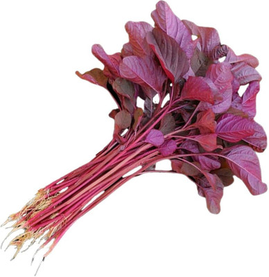 Aywal Cholai Red Saag Seed(60 per packet)