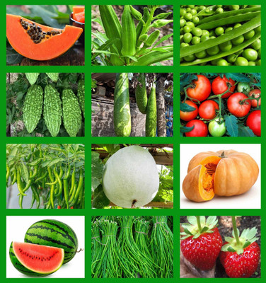 the green dotcom 12 Variety Vegetable Combo Pack for Garden - Fresh Seeds for Home Garden Seed(2100 per packet)