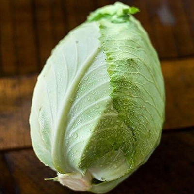 WILLVINE ROX -II Cabbage Charleston Wakefield [5g] Seed(1500 per packet)
