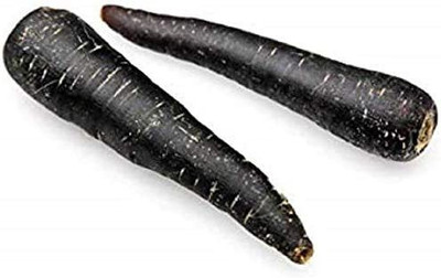 WILLVINE GBPUT-360 Carrot Black Nebula Deep Purple Seed(500 per packet)