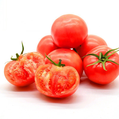 VRAKSHA HIGH QUALITY - TOMATO Seed(2000 per packet)
