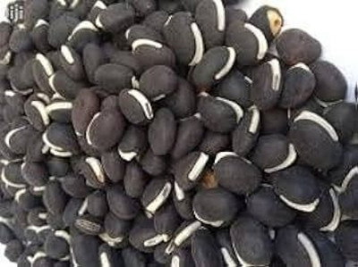 HAMPHU MSTP PLANT & SEEDS HYBRID SIM SEEDS PACK of 15 Seed(15 per packet)