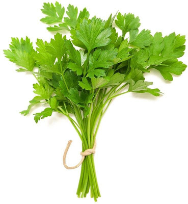 LPT HARA DHANIYA Seed(500 per packet)