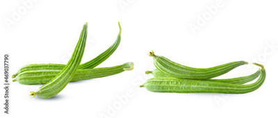 Paudhaa FI QUALITY RIDGE GOURD Seed(21 per packet)