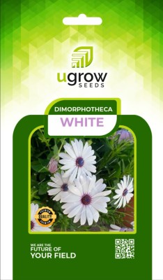 GARDENIFY INDIA GARDENIFY INIDA WHITE DIMORPHOTHECA WHITE AFRICAN DAISY FLOWE & SEEDS PLANT Seed(40 per packet)