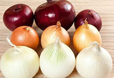 CYBEXIS VXI-2 - Onion Rainbow Mix Neutral - (4500 Seeds) Seed(4500 per packet)