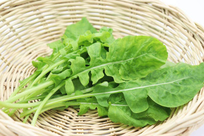 CYBEXIS TLX-24 - Arugula Lettuce - (2250 Seeds) Seed(2250 per packet)