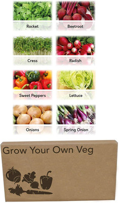 CYBEXIS 8 Varities Vegetable for Planting Seed(10 g)