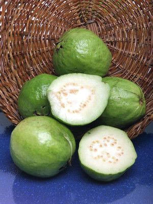 Aywal Taiwan Guava Hybrid Seed(45 per packet)