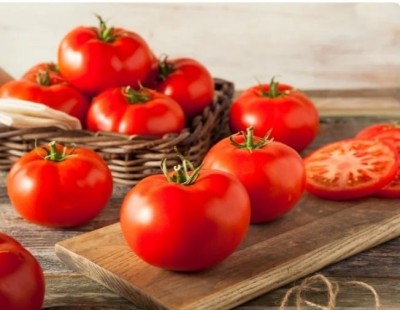 Quentova Beefsteak Tomato 1gm Seeds Seed(400 per packet)