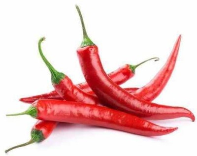 KANAYA Chilli Seeds Hot Jwala Hybrid Vegetable Seed(650 per packet)