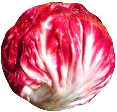 KNESSiN Red Cabbage Vegetable Seeds Seed(200 per packet)