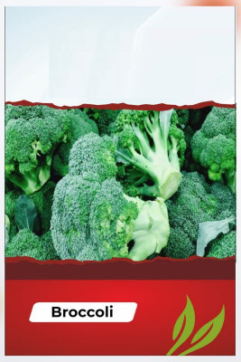 CYBEXIS XLL-86 - Diccio Broccoli - (450 Seeds) Seed(450 per packet)