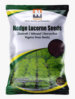 Numinous Hedge Lucerne, Velimasal, Dashrath, Desmanthus Virgatus Grass Seed(50 g)