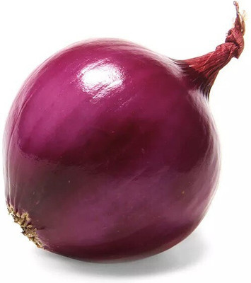 the green dotcom Good Quality Round Purple Onion Seed(60 per packet)
