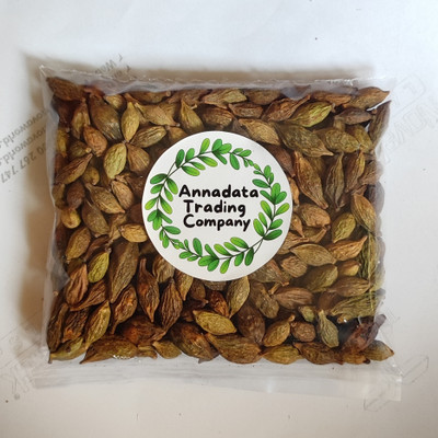 Annadata Trading Company Terminalia Mantaly (Umbrella Tree) Seeds | High Quality Tree Seeds Seed(100 g)