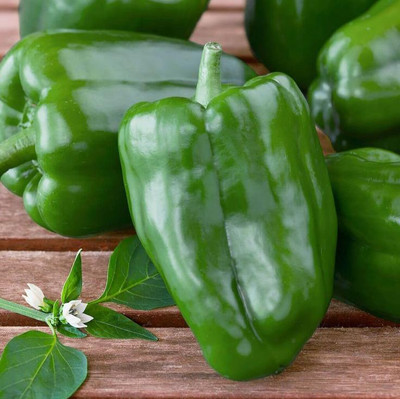 Arshiayat Organic Capsicum Seeds Seed(15 per packet)