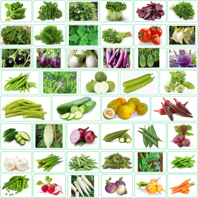 Greenery Hub 45 Variety of Organic Vegetable Seeds Combo Pack Seed(2700 per packet)