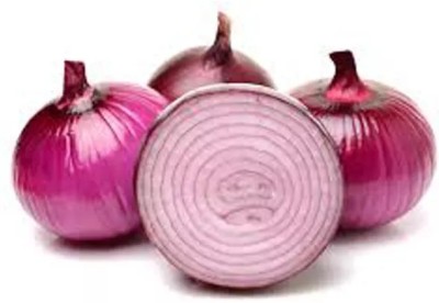 WATIKA Nasik Super Red (कांदा) Onion Seed(500 per packet)