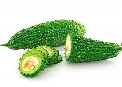 WILLVINE XLR-354 Hybrid Bitter Gourd (Karela) Seeds Seed(50 per packet)