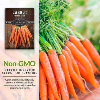 CYBEXIS XLR-91 - Imperator 58 Carrot - (2250 Seeds) Seed(2250 per packet)