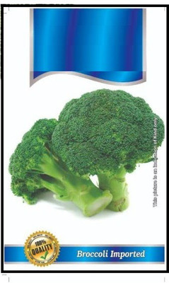 CYBEXIS XLL-69 - Gypsy Broccoli - (450 Seeds) Seed(450 per packet)