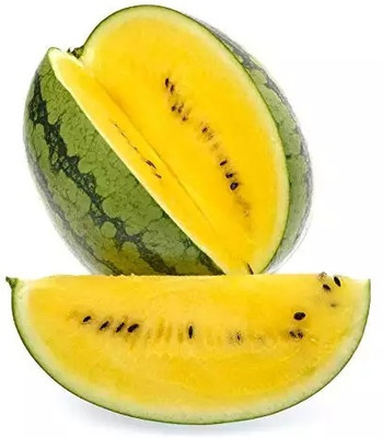 EMKOT Watermelon fruit sweet and juicy watermelon Seed(100 per packet)