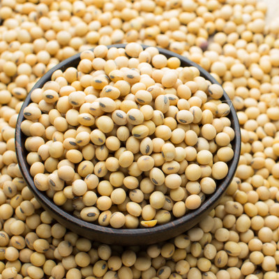 Rudra soyabean, soyabean seed, soyabean whole Seed(250 per packet)