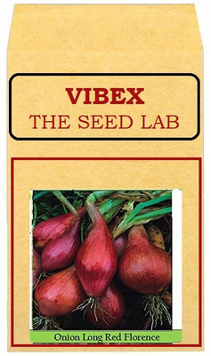 CYBEXIS Onion Long Red Hybrid Seeds4000 Seeds Seed(4000 per packet)