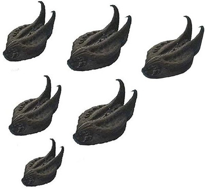 Manvikram BAT HEAD ROOT Seed(6 per packet)