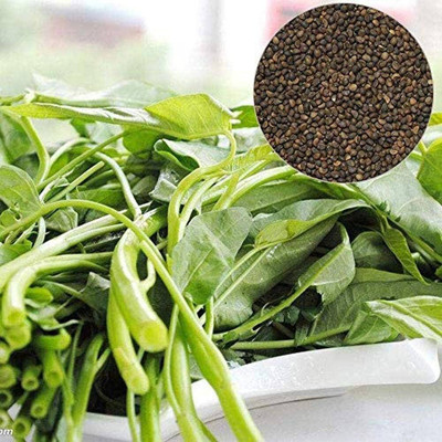 BDSresolve Kolmi Saag Seeds PACK OF 144 Seed(144 per packet)