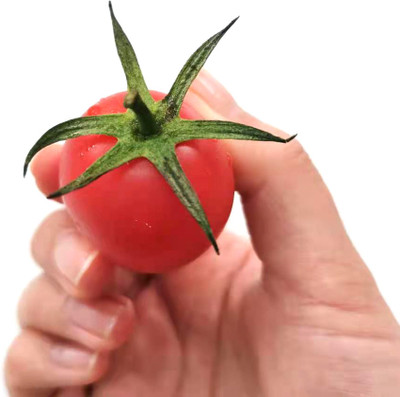 VRAKSHA Organic orange red cherry tomatoes Seed(2000 per packet)
