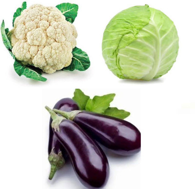 PSAgroinput Pattagobhi-PhoolGobhee-Brinjal pack of 3 Seed(100 g)