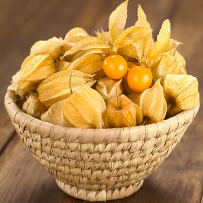 QALANDAR Cape Gooseberry- Golden Nugget Seed(20 per packet)