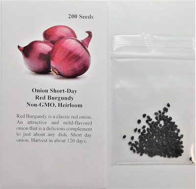 Qualtivate HUA-7A Onion Short-Day Red Burgundy Seed(500 per packet)