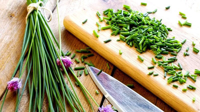 CYBEXIS XLR-23 - Chive Herb - (2250 Seeds) Seed(2250 per packet)