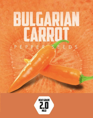 KNESSiN Easy to Grow Bulgarian Carrot Pepper Vegetable Seeds for Garden-(2400 Seeds) Seed(2400 per packet)