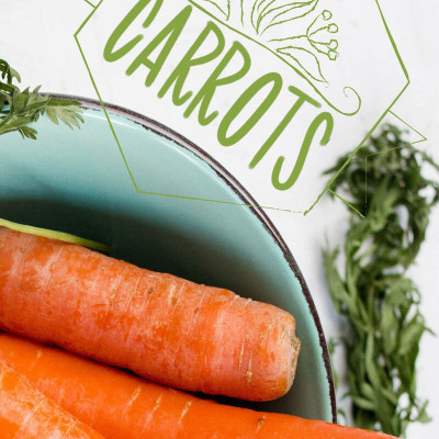 SeedHaven Fresh Carrot Seed(50 per packet)