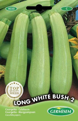 CYBEXIS Long White Bush Courgette Zucchini Seeds100 Seeds Seed(100 per packet)