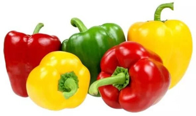 Aywal MIX COLOR SHIMLA MIRCH Seed(360 per packet)