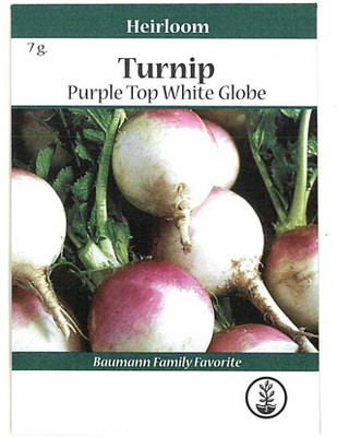 Biosnyg Turnip Purple Top White Globe[500 Seeds] Seed(500 per packet)
