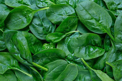MYLAWN Palak/Spinach Vegetables Seed(500 per packet)