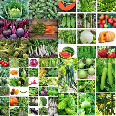 ibains Hybrid vegetable seeds combo pack biij 232 Seed(200 per packet)