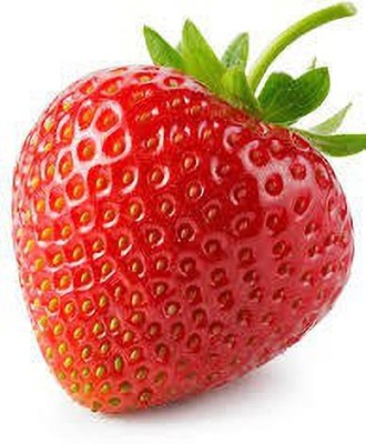 Qualtivative STRAWBERRY FRUIT SEED Seed(116 per packet)