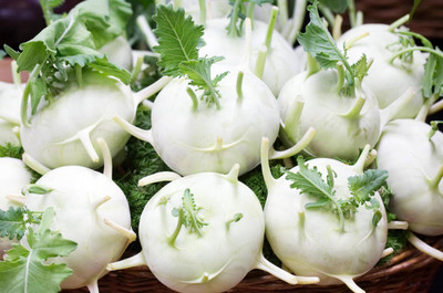 Bula Plant House Su hao, Fresh Cabbage Seed(200 per packet)