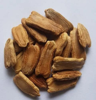 KNESSiN Hybrid Hazari Bottle Gourd Vegetable Seeds for Kitchen Gardening-(150 Seeds) Seed(150 per packet)